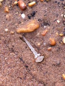 beach glass dumfries